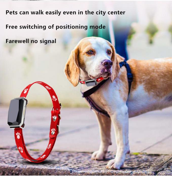dog training collar with gps tracker