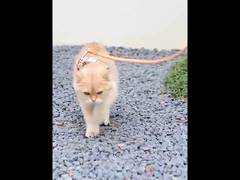 ABS Adjustable Cat Harness Reflective Pet Vest Pink Comfort